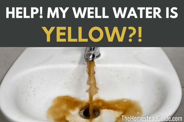 Why is My Well Water Yellow? 6 Causes and How to Fix Them