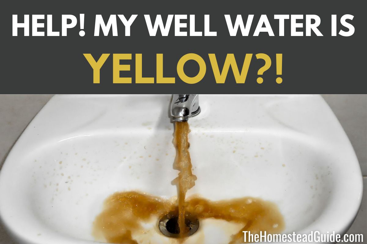 Why is my well water yellow