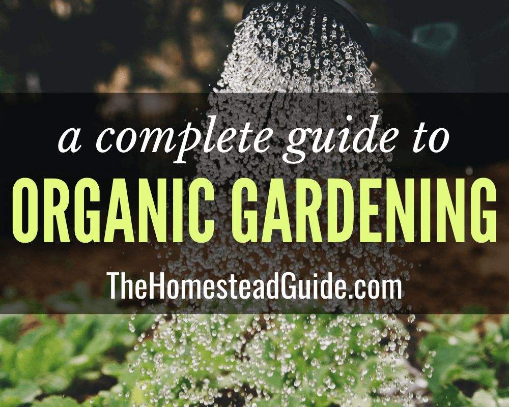 a complete guide to organic gardening