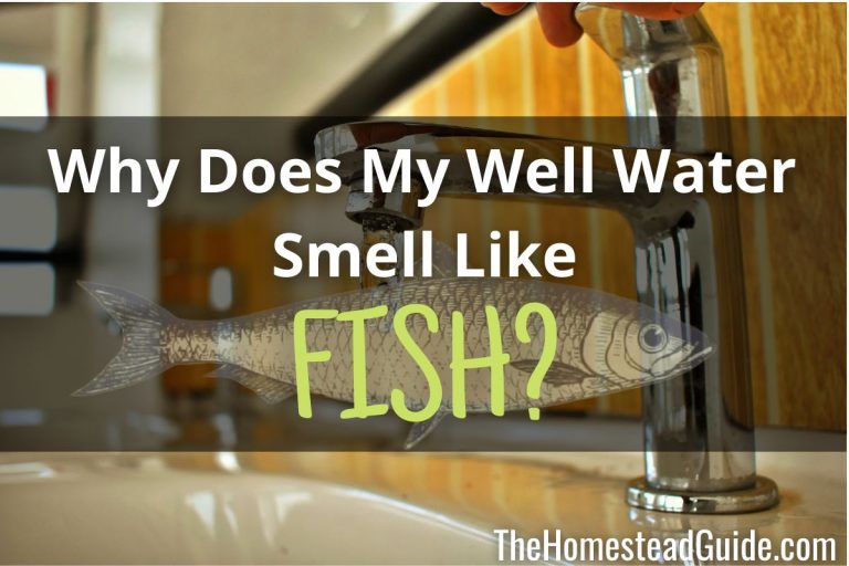 Why Does My Well Water Smell Like Fish? The Homestead Guide