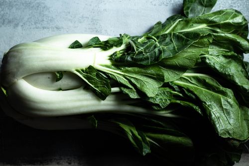 closeup of bok choy plant