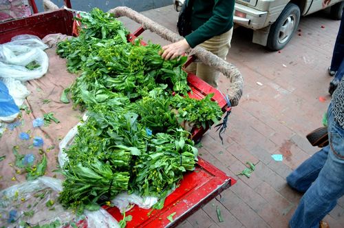 Bunches of fresh rapini on a cart