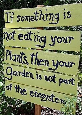 wooden sign saying if something is not eating your plants, then your garden is not part of the ecosystem