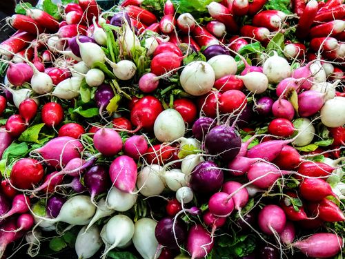 A large bunch of radishes in various colors