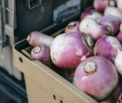 A basket full of turnips