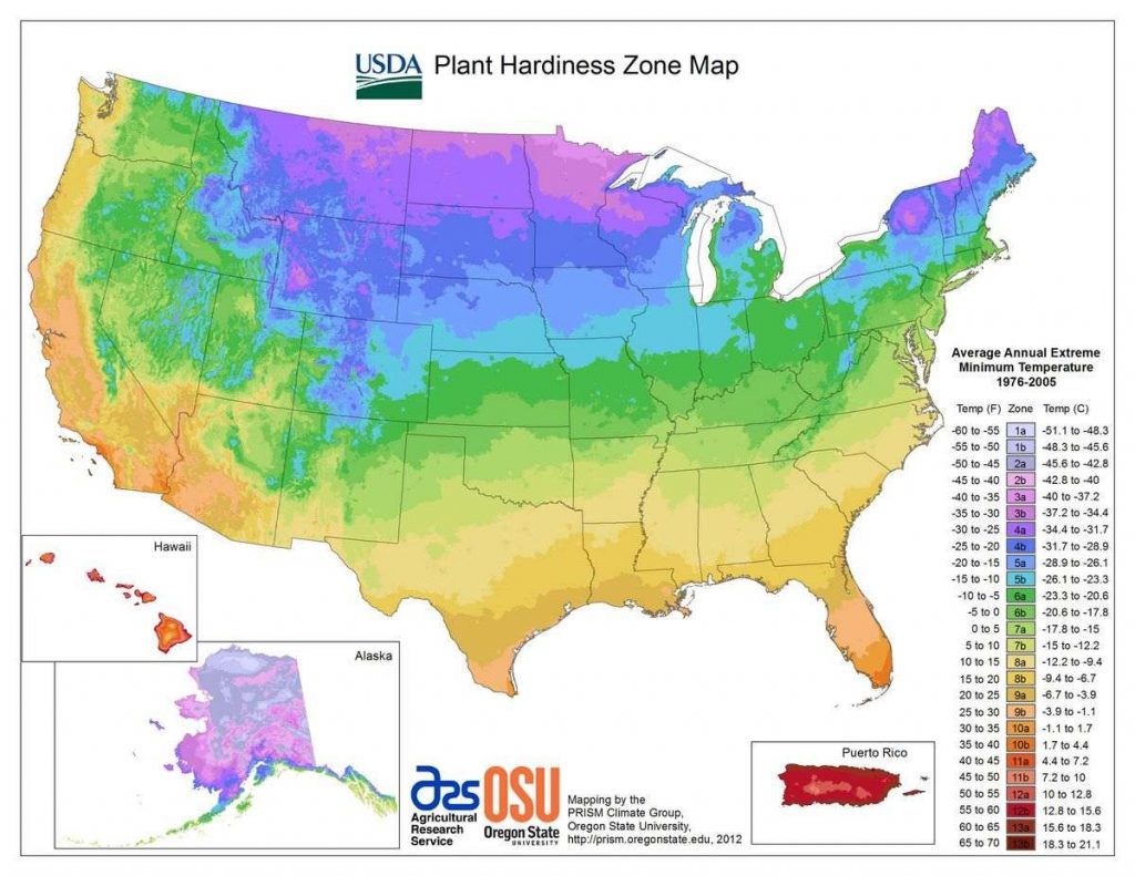 USDA plant hardiness zone map for the USA