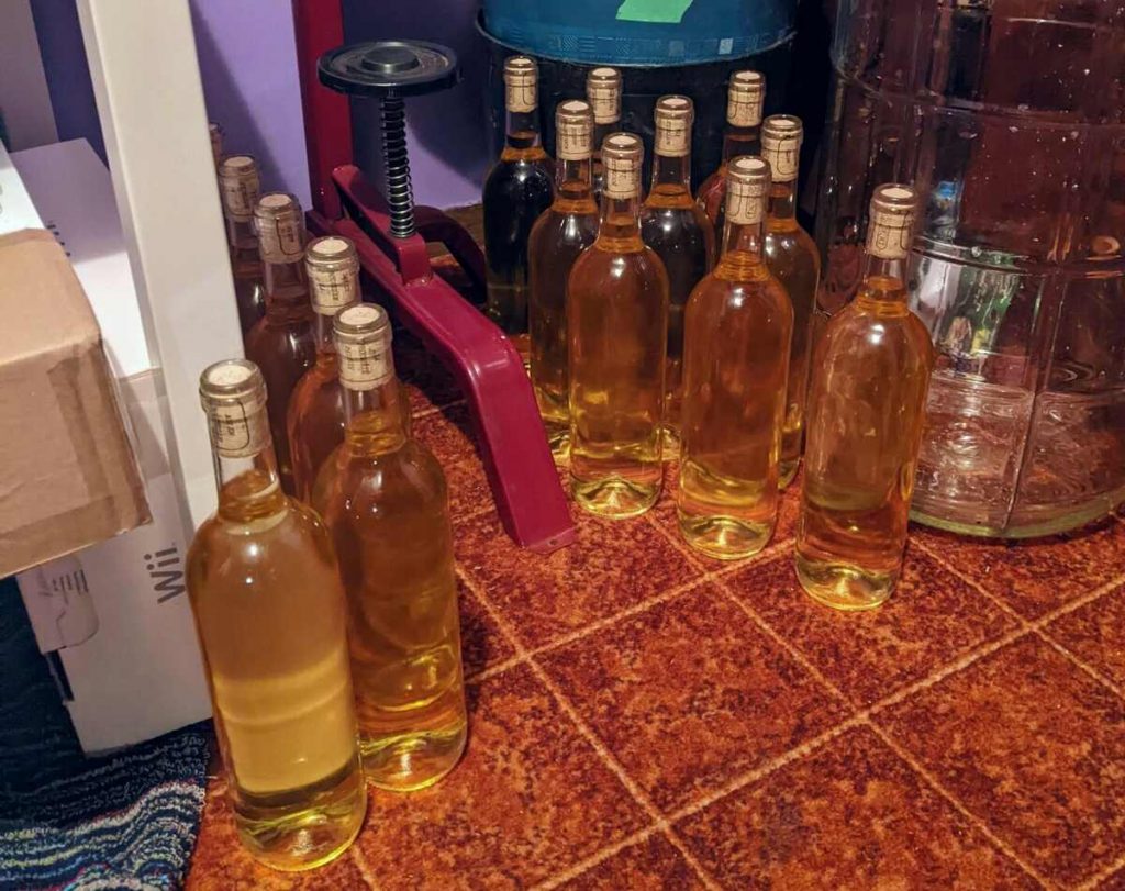 Bottles of dandelion wine on a carpeted floor.