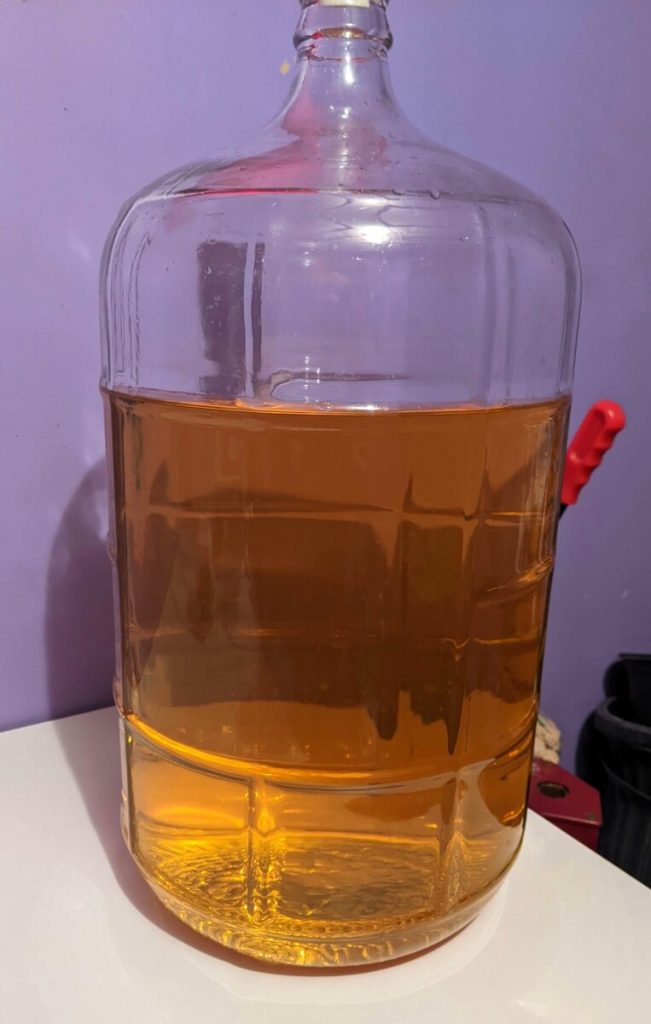 A large glass wine carboy filled with clear golden wine.