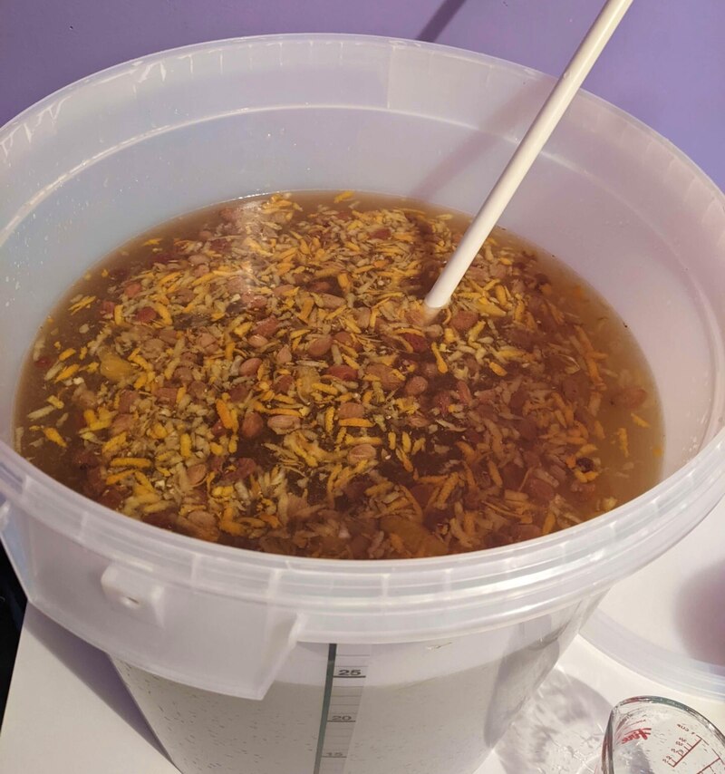 Plastic fermenting pail full of water and dandelion petals.