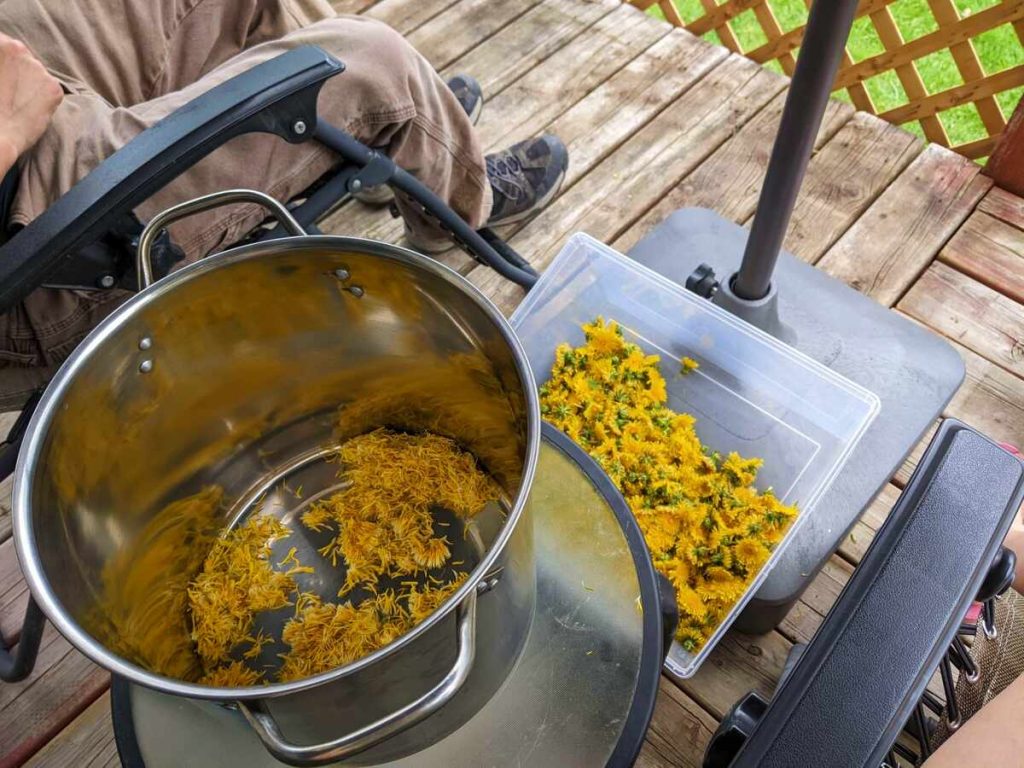 A pot with some dandelion petals in it with a plastic bin full of flower heads next to it.