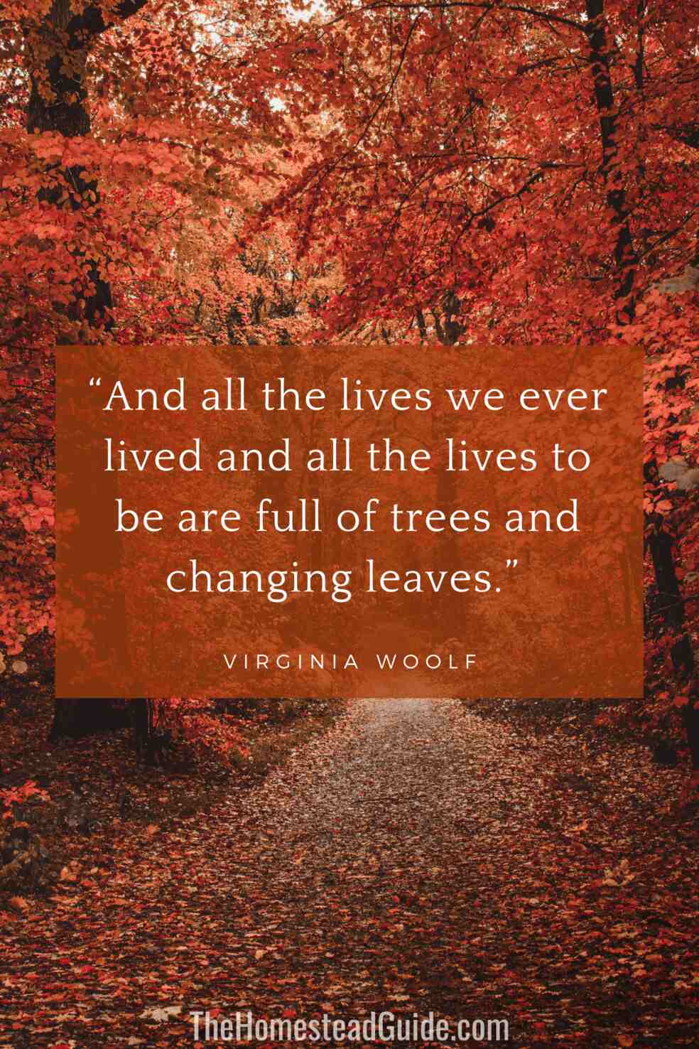 And all the lives we ever lived and all the lives to be are full of trees and changing leaves.