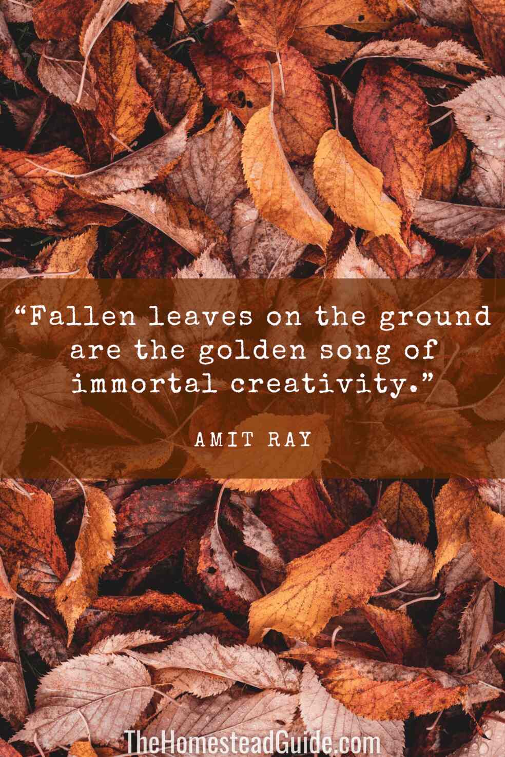 Fallen leaves on the ground are the golden song of immortal creativity.