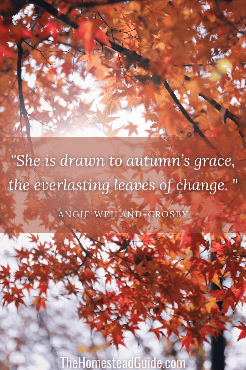 She is drawn to autumns grace, the everlasting leaves of change. 