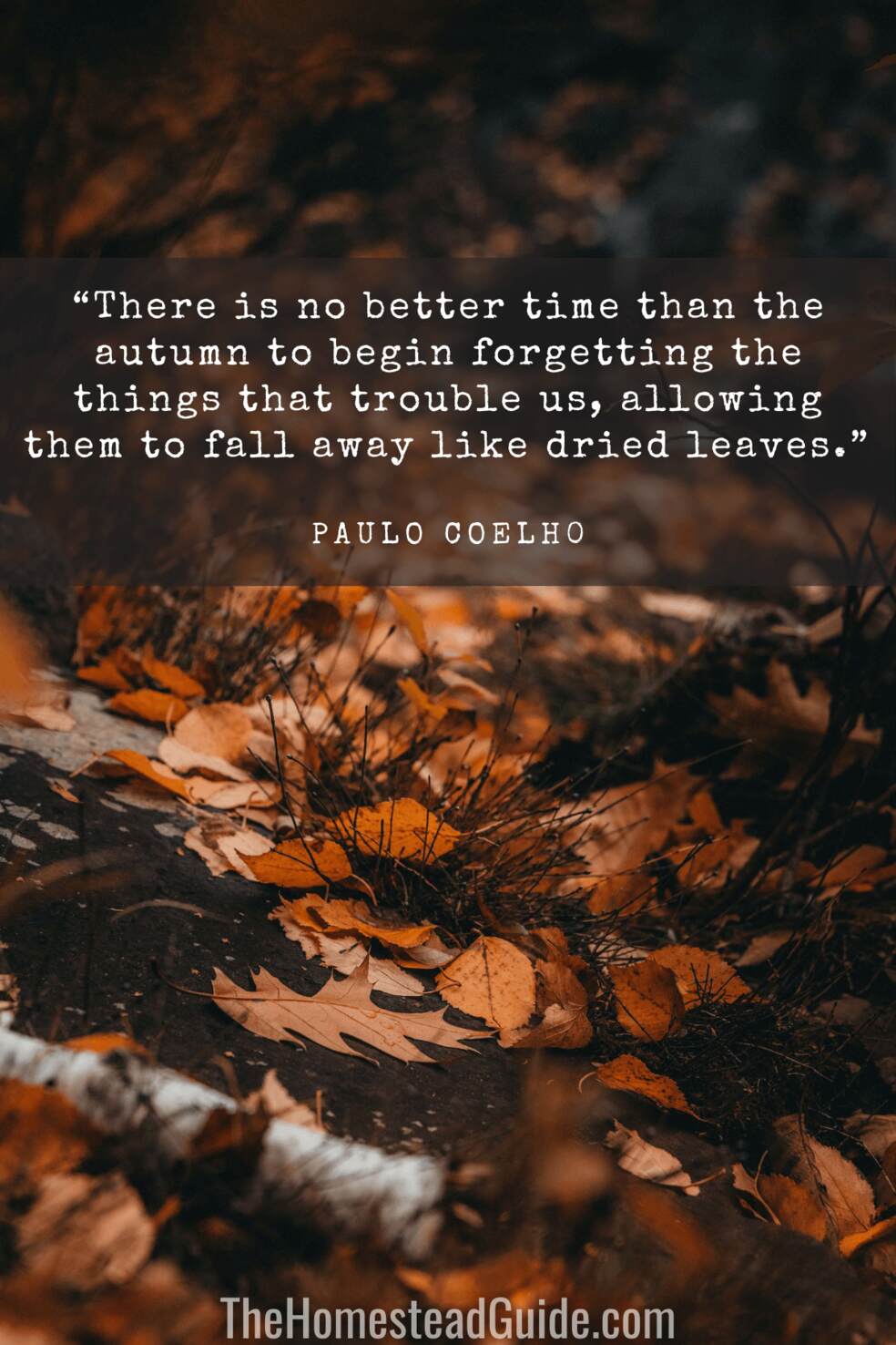 There is no better time than the autumn to begin forgetting the things that trouble us, allowing them to fall away like dried leaves.