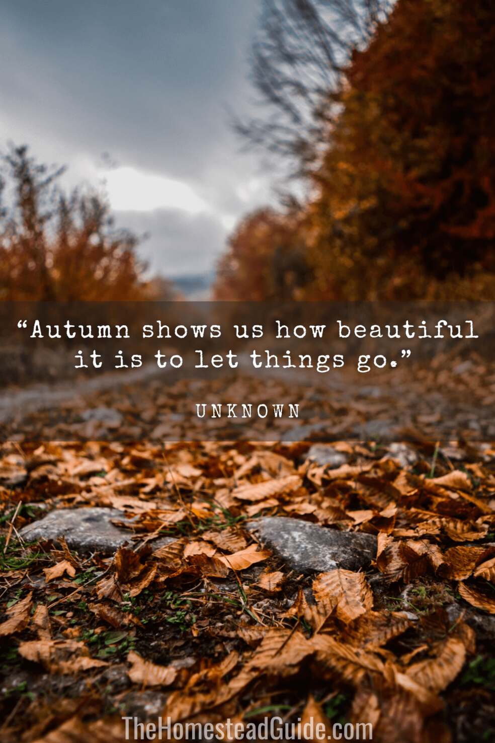 Autumn shows us how beautiful it is to let things go.