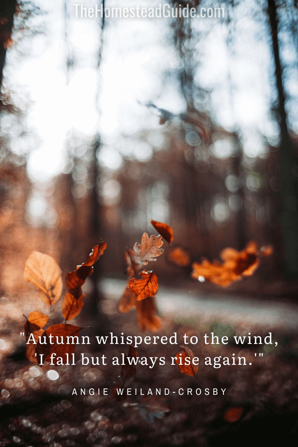 Autumn whispered to the wind, I fall but always rise again.