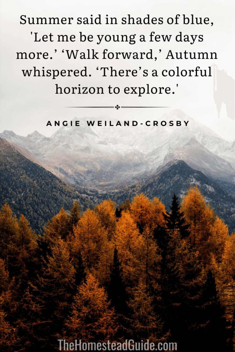 95+ Fall Quotes and Images that Capture the Beauty and Melancholy of ...