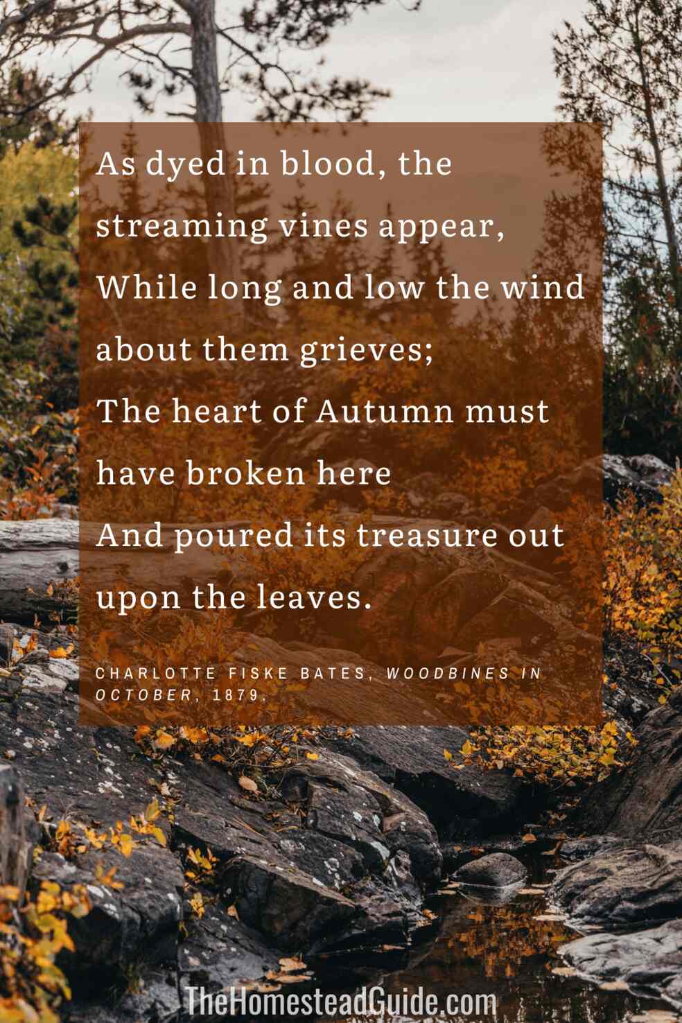 As dyed in blood, the streaming vines appear, While long and low the wind about them grieves; The heart of Autumn must have broken here And poured its treasure out upon the leaves. 