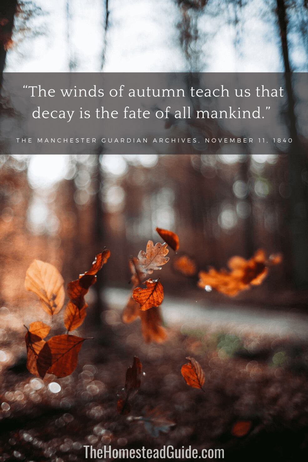 The winds of autumn teach us that decay is the fate of all mankind.