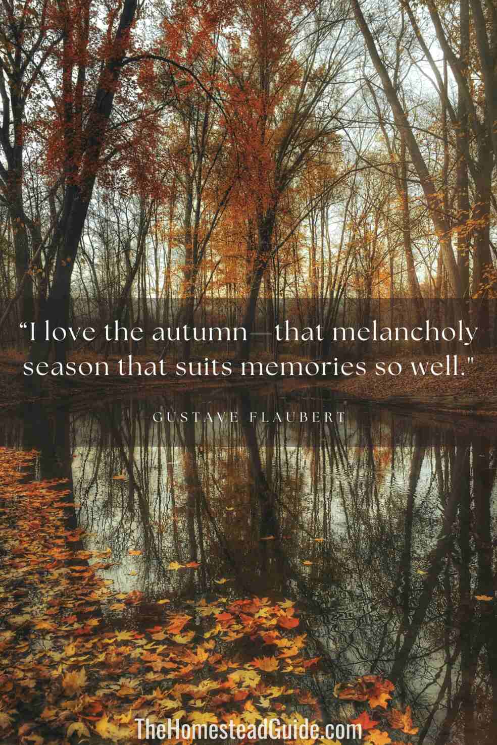 I love the autumn—that melancholy season that suits memories so well.