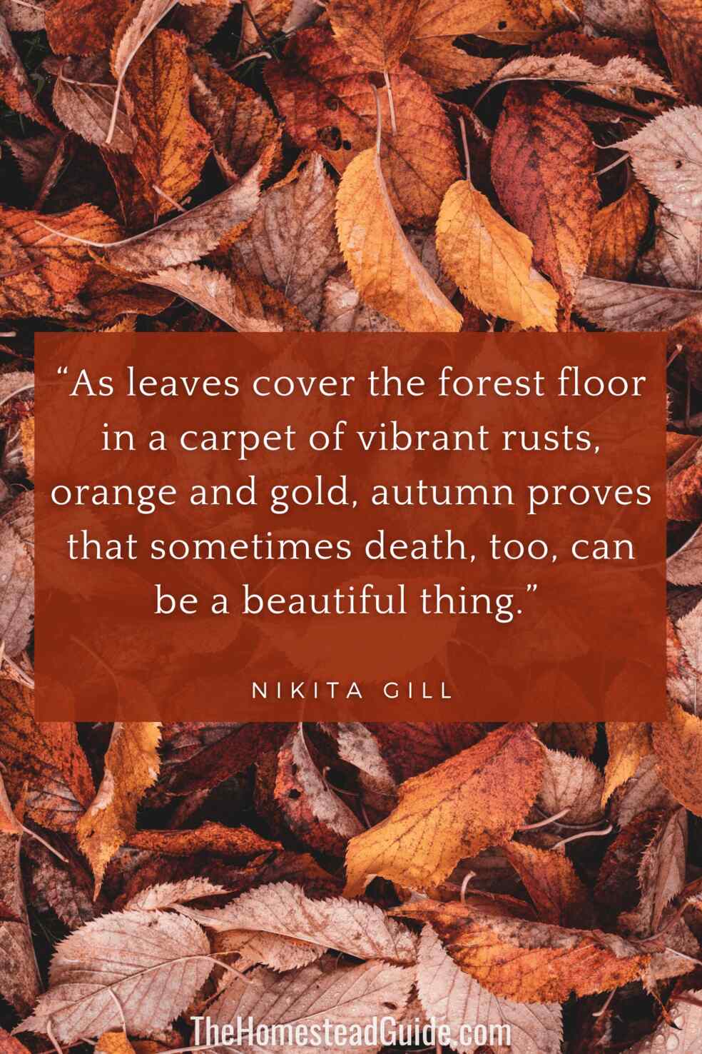 As leaves cover the forest floor in a carpet of vibrant rusts, orange and gold, autumn proves that sometimes death, too, can be a beautiful thing.