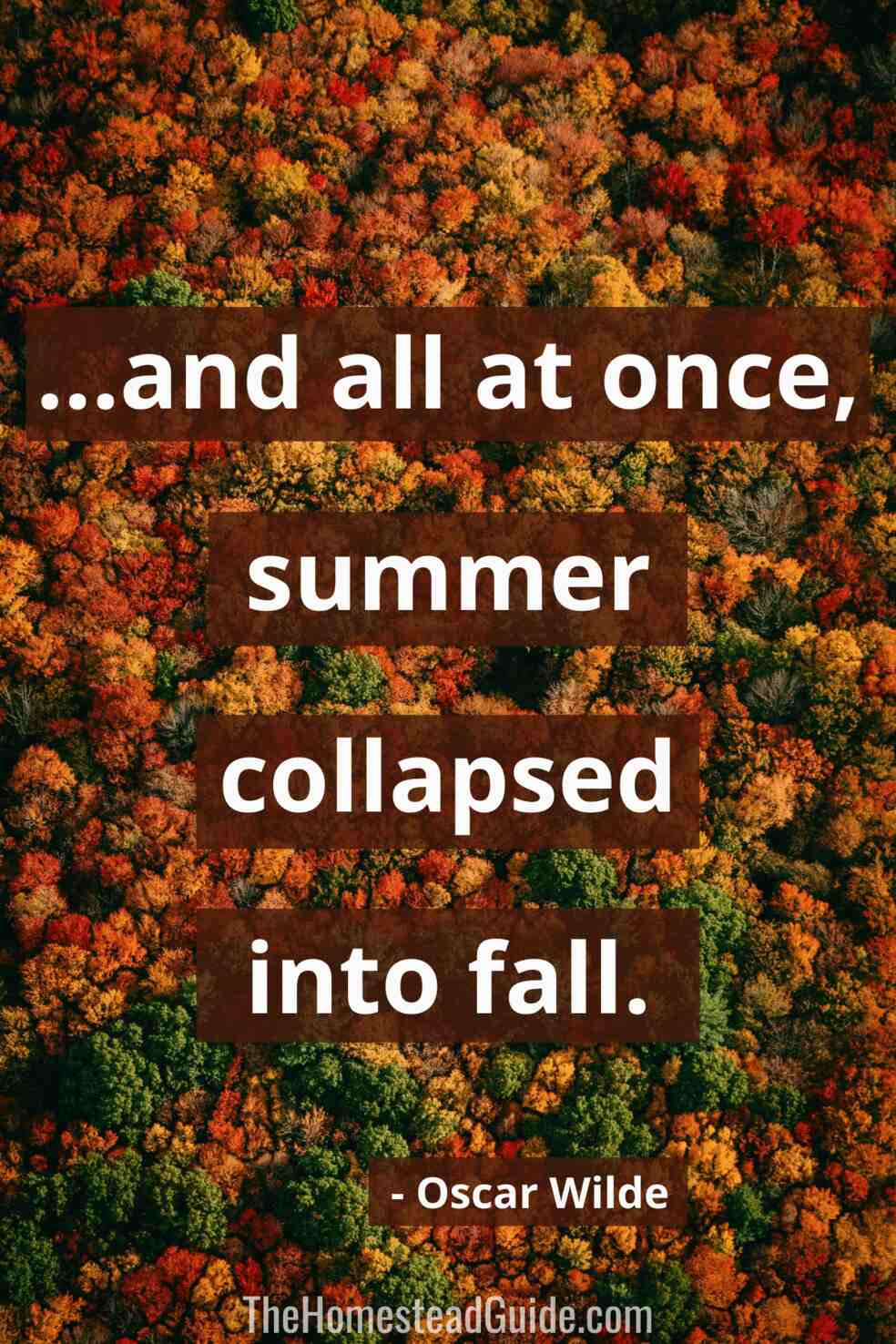 And all at once, summer collapsed into fall.
