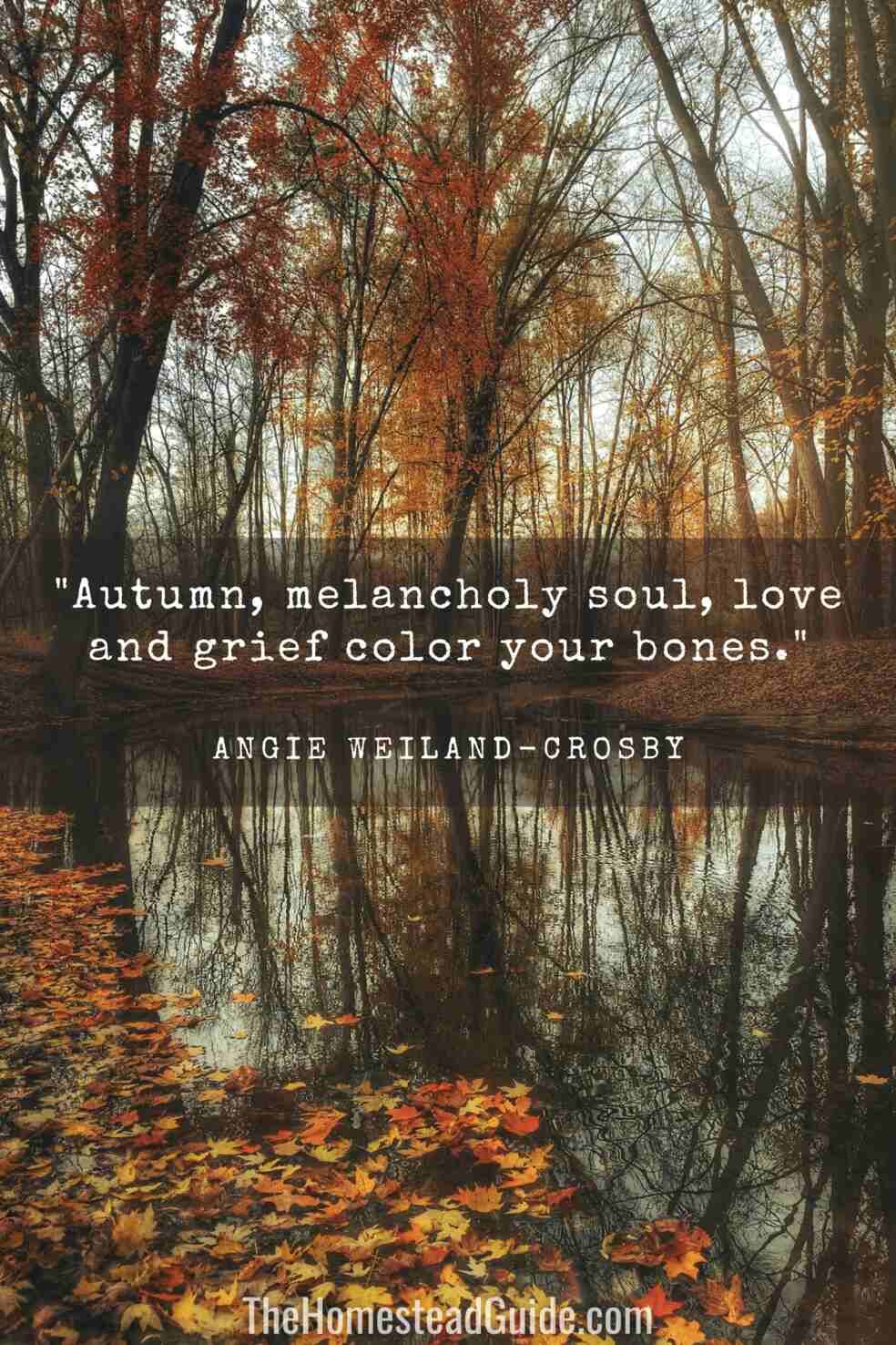 Autumn, melancholy soul, love and grief color your bones. 