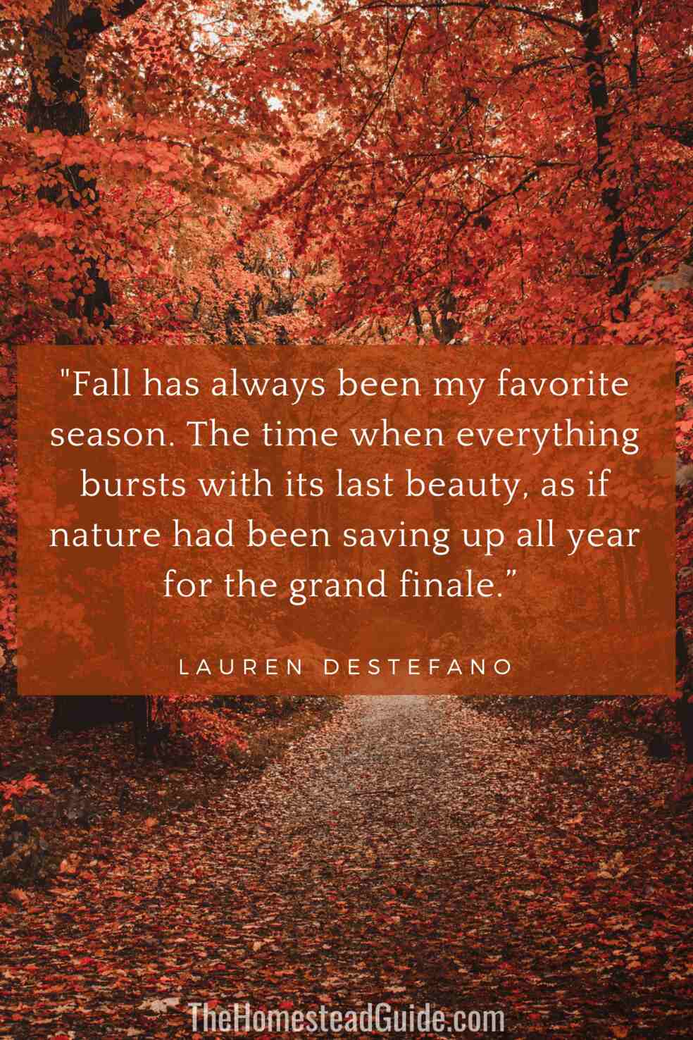 Fall has always been my favorite season. The time when everything bursts with its last beauty, as if nature had been saving up all year for the grand finale.