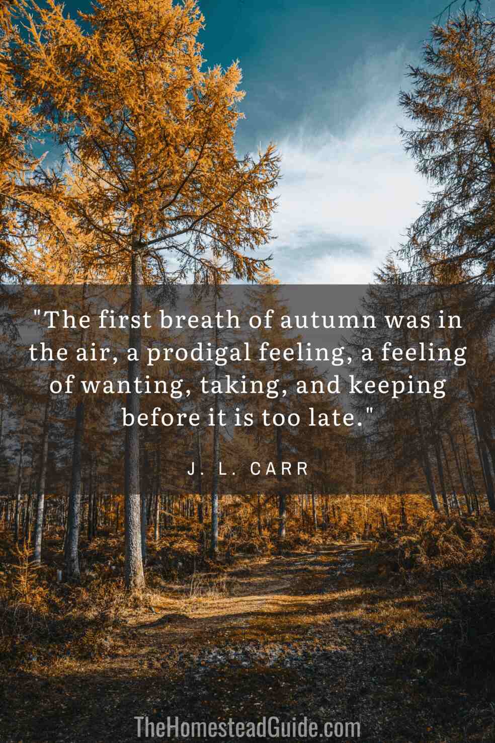 The first breath of autumn was in the air, a prodigal feeling, a feeling of wanting, taking, and keeping before it is too late.