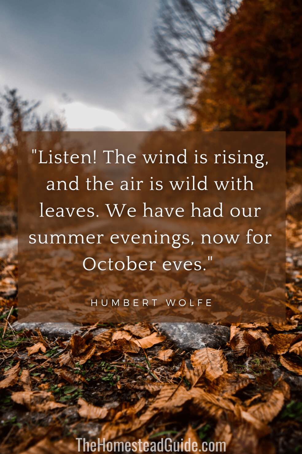 Listen! The wind is rising, and the air is wild with leaves. We have had our summer evenings, now for October eves.