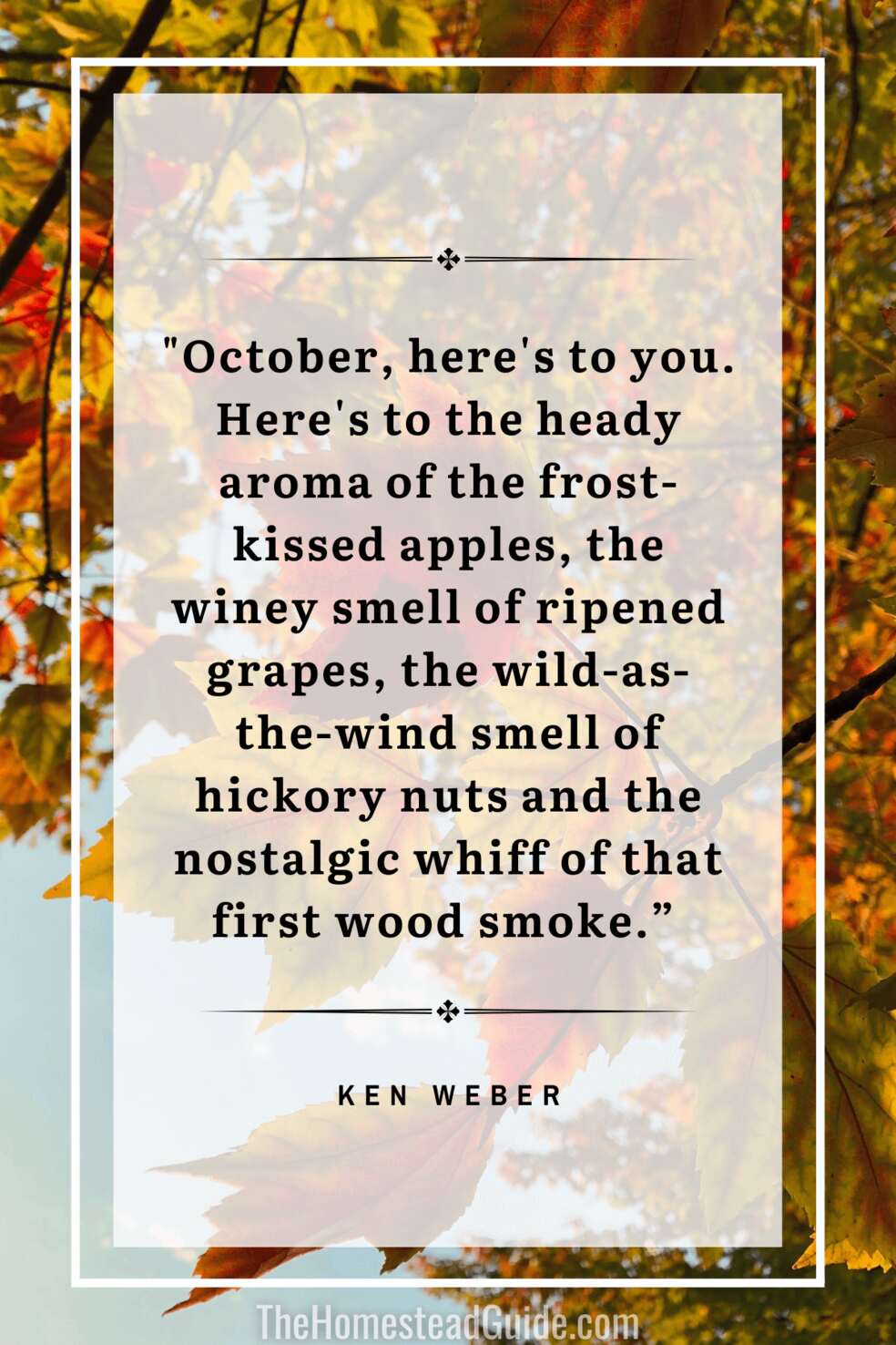 October, here's to you. Here's to the heady aroma of the frost-kissed apples, the winey smell of ripened grapes, the wild-as-the-wind smell of hickory nuts and the nostalgic whiff of that first wood smoke.