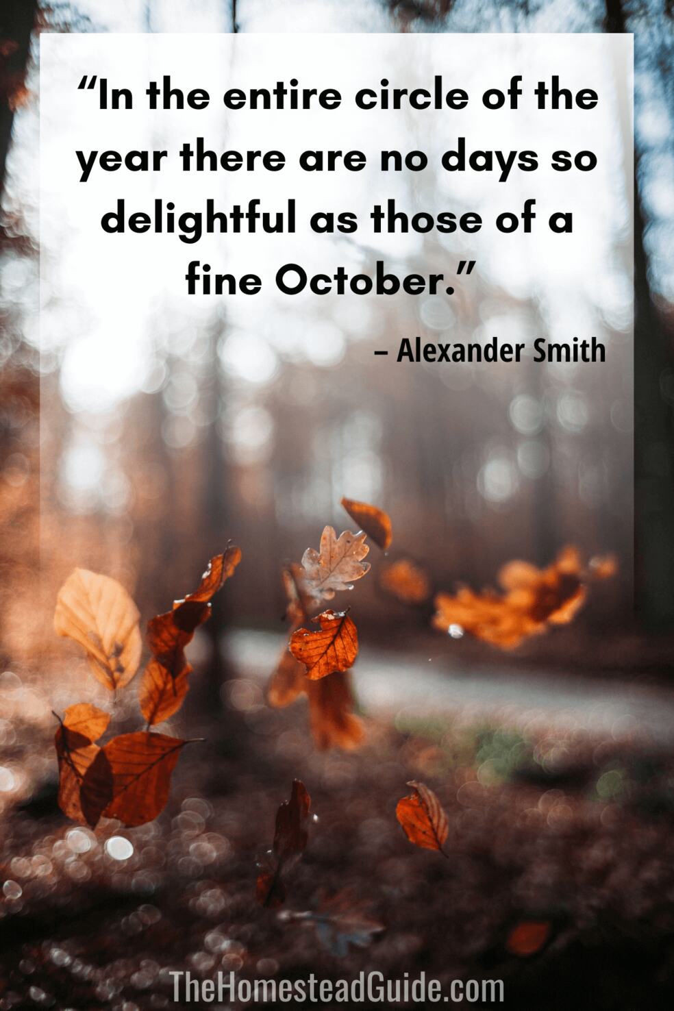 In the entire circle of the year there are no days so delightful as those of a fine October.