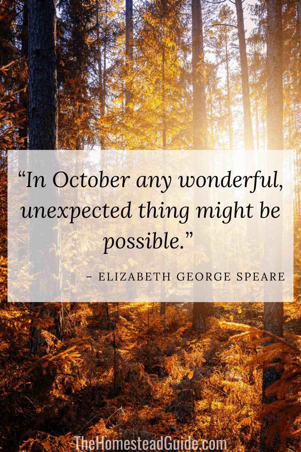 In October any wonderful, unexpected thing might be possible.