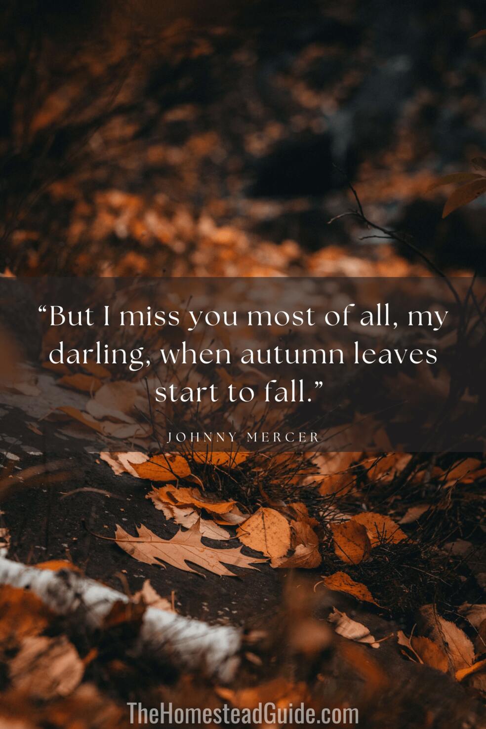 But I miss you most of all, my darling, when autumn leaves start to fall.
