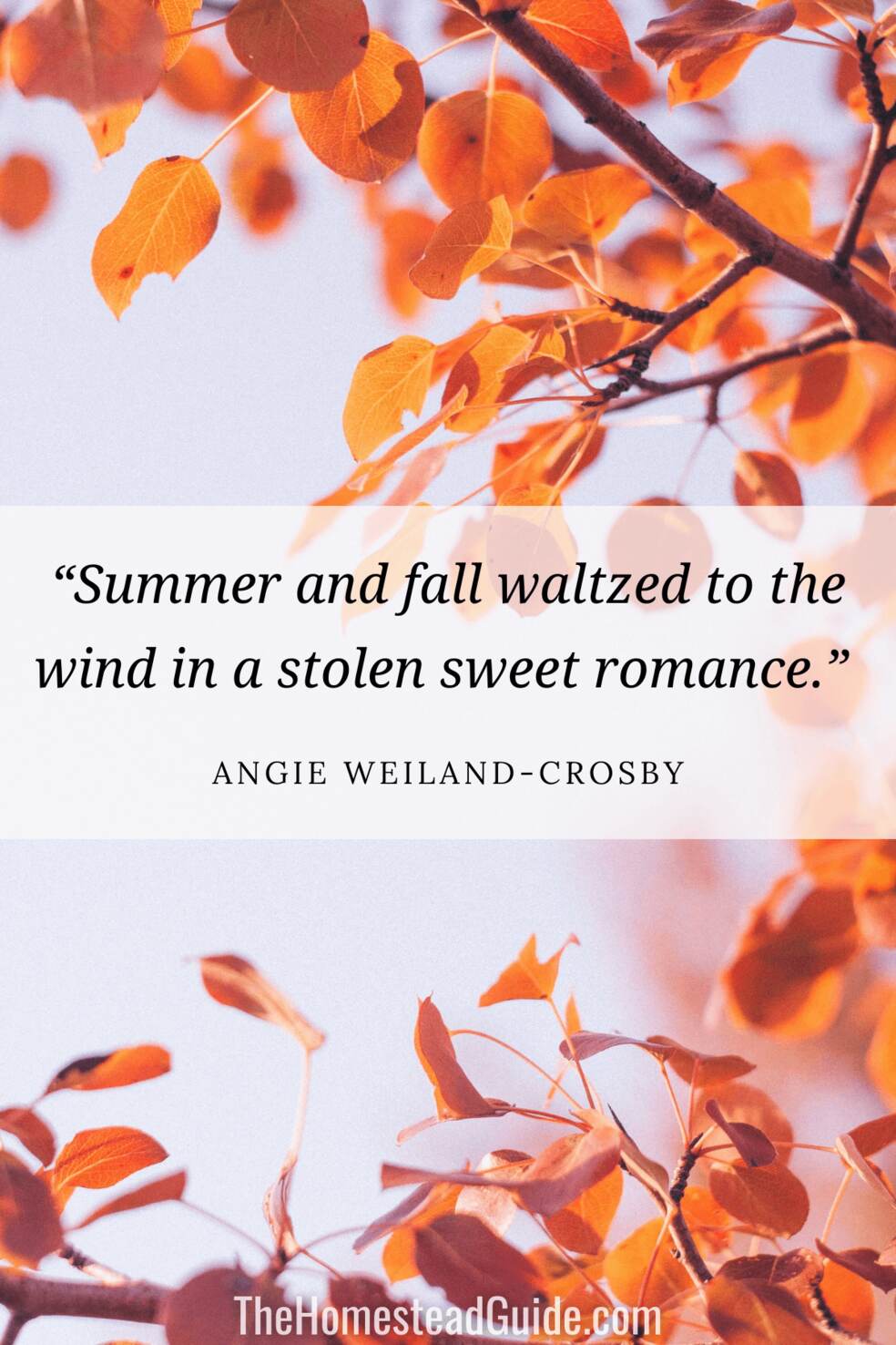 Summer and fall waltzed to the wind in a stolen sweet romance.