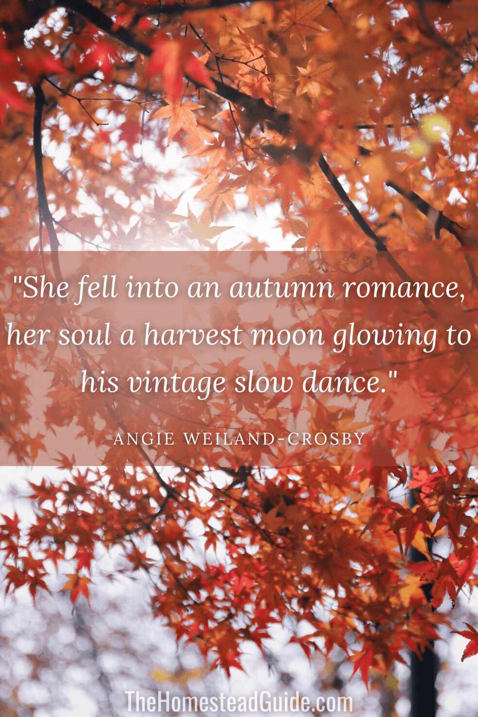 She fell into an autumn romance, her soul a harvest moon glowing to his vintage slow dance. 