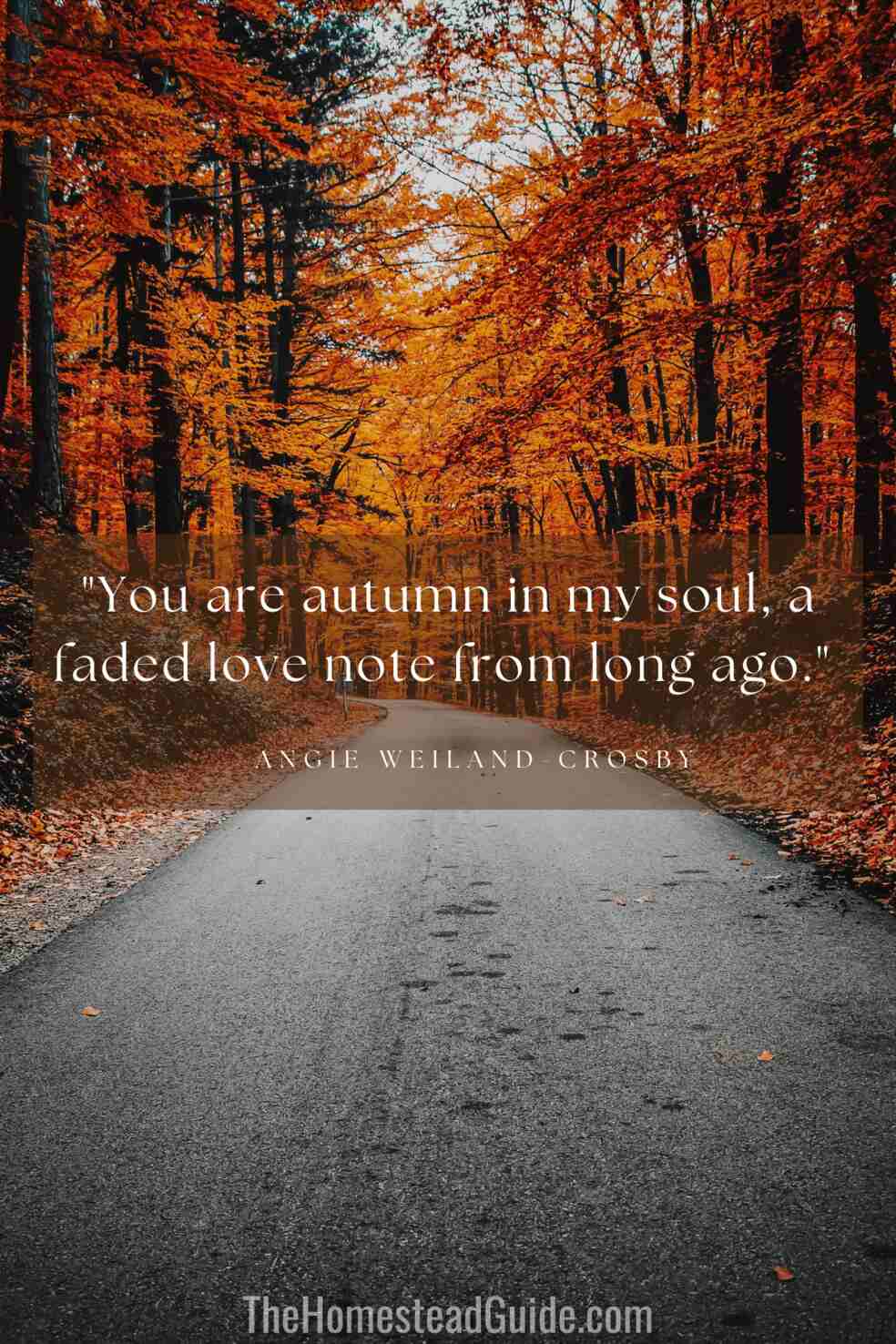 You are autumn in my soul, a faded love note from long ago. 