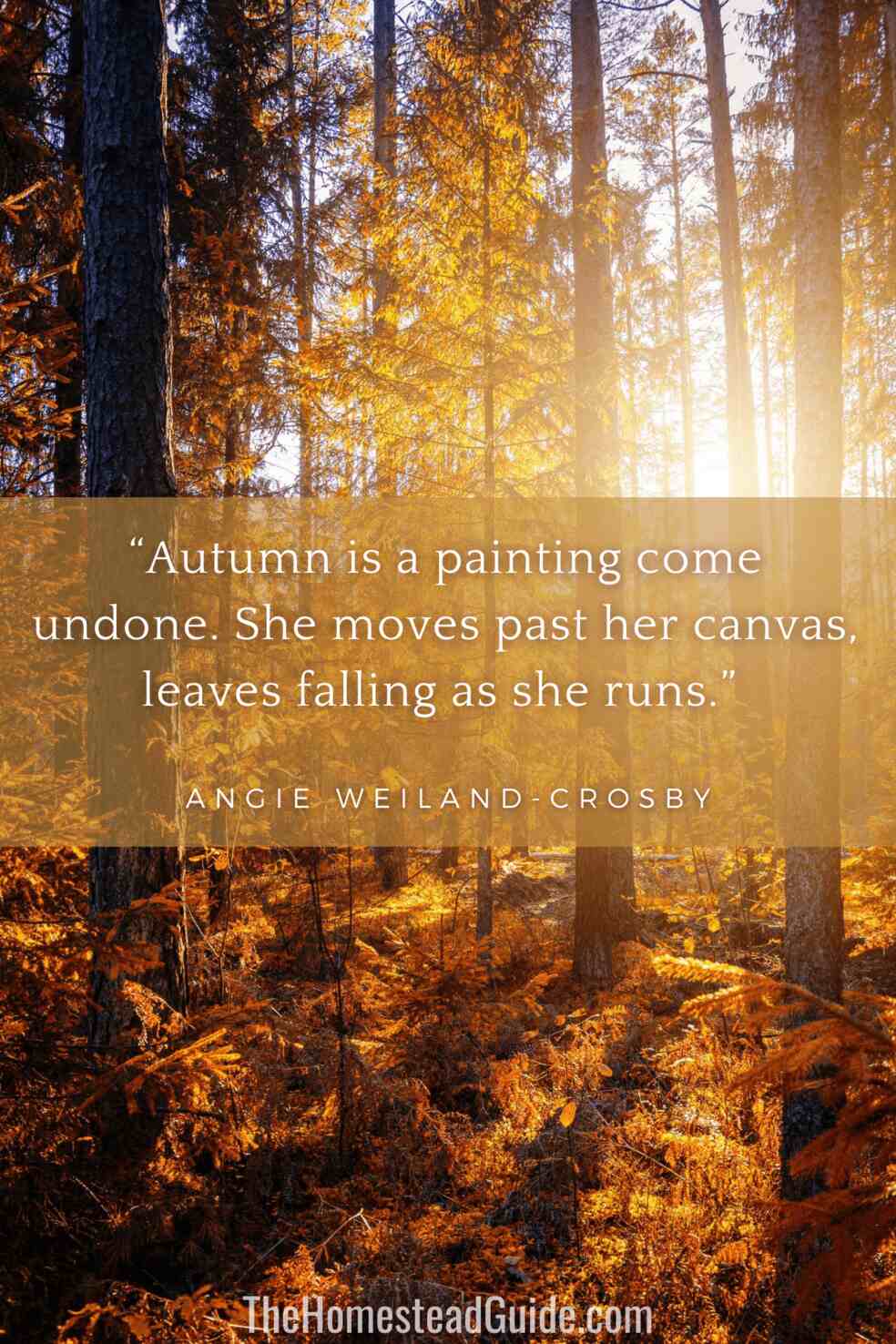 Autumn is a painting come undone. She moves past her canvas, leaves falling as she runs.