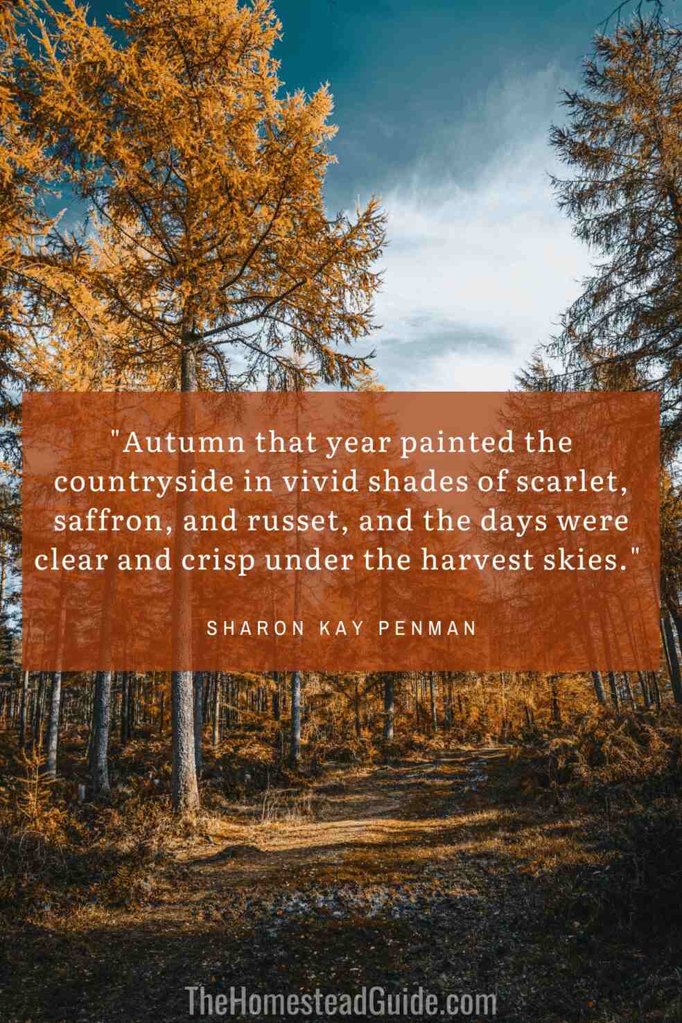 Autumn that year painted the countryside in vivid shades of scarlet, saffron, and russet, and the days were clear and crisp under the harvest skies.