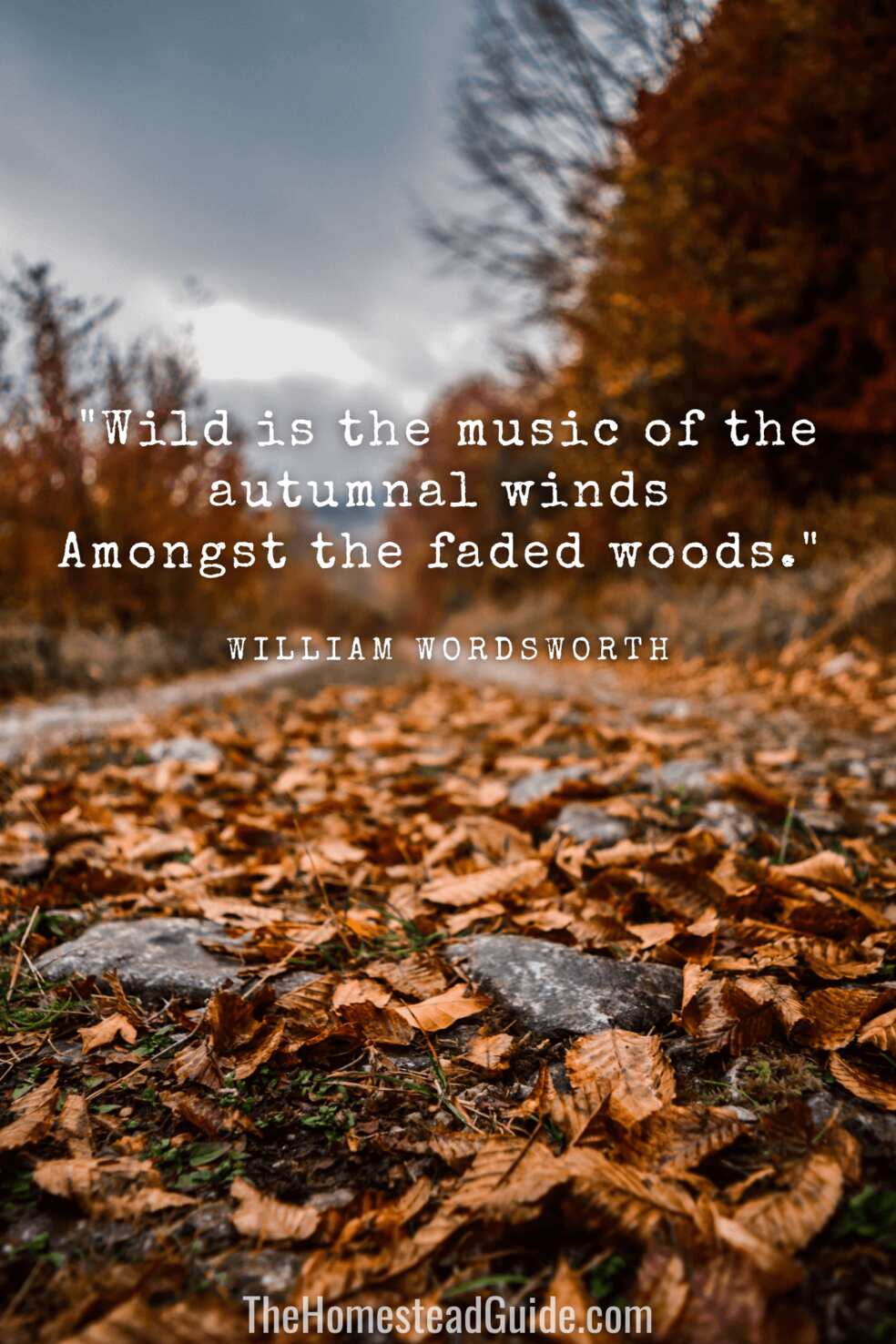 Wild is the music of the autumnal winds Amongst the faded woods.