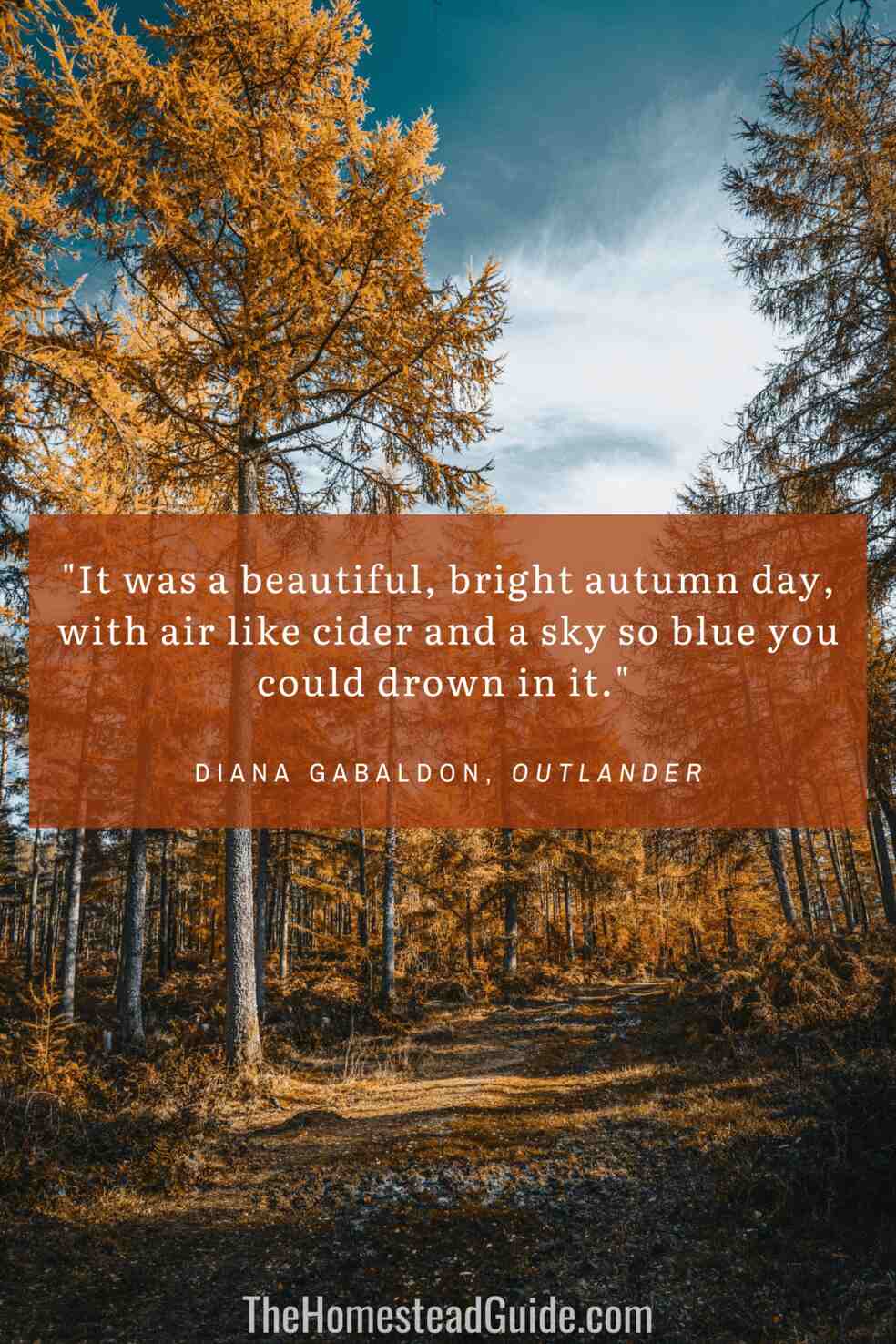 It was a beautiful, bright autumn day, with air like cider and a sky so blue you could drown in it.