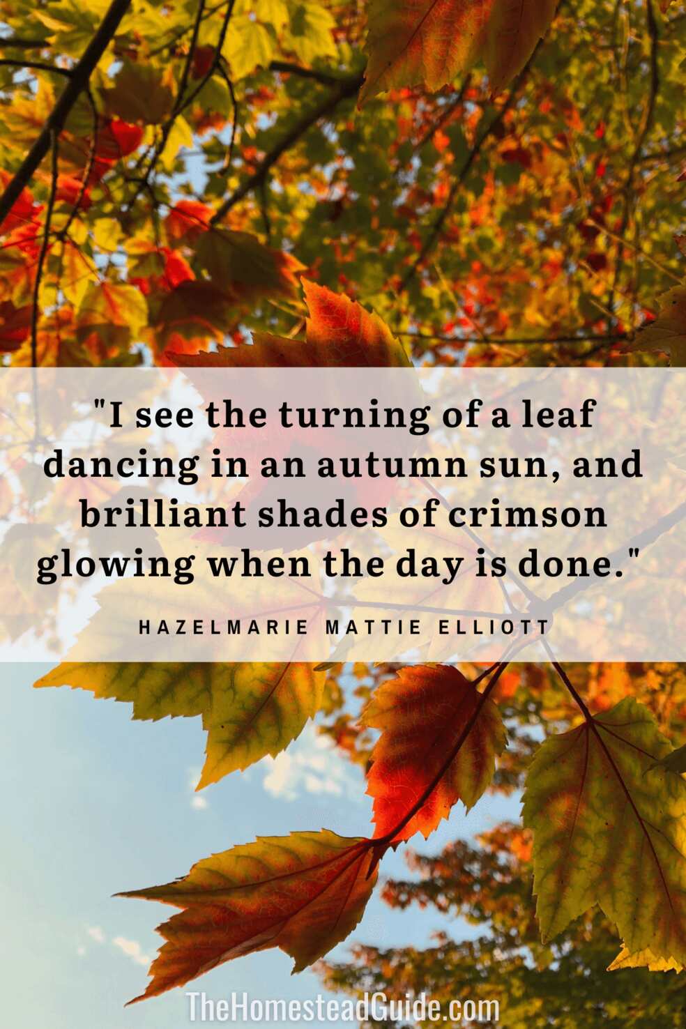 I see the turning of a leaf dancing in an autumn sun, and brilliant shades of crimson glowing when the day is done.