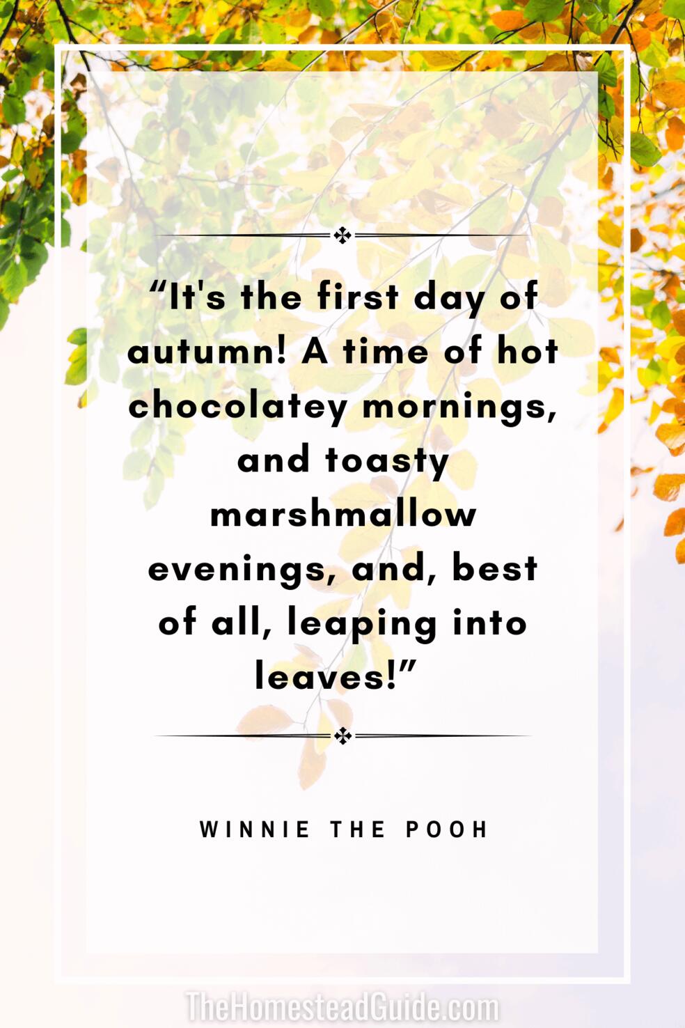 Its the first day of autumn! A time of hot chocolatey mornings, and toasty marshmallow evenings, and, best of all, leaping into leaves!