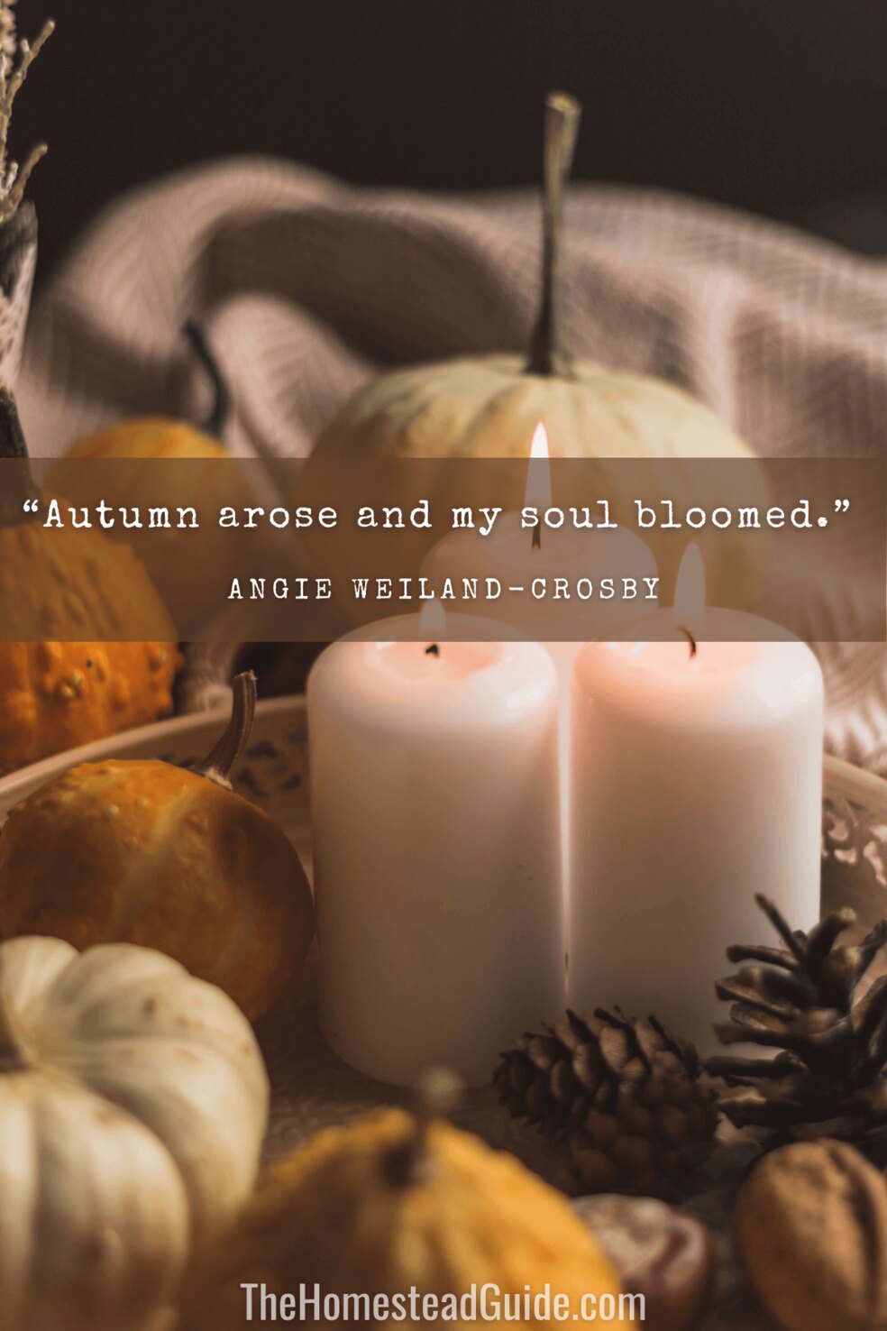 Autumn arose and my soul bloomed.