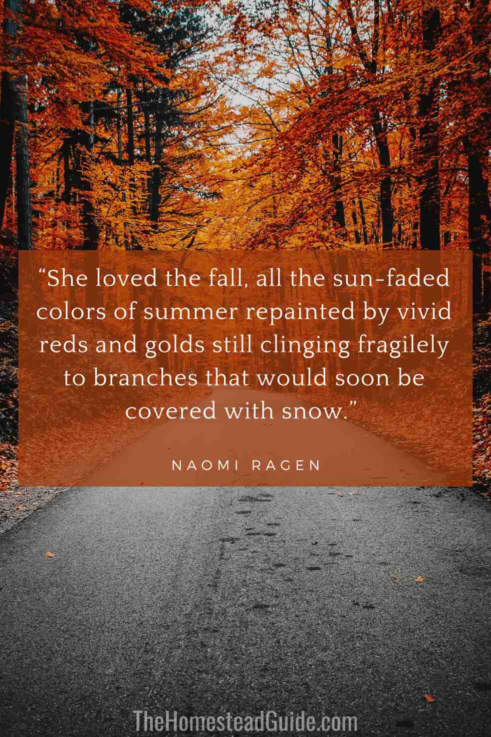 She loved the fall, all the sun-faded colors of summer repainted by vivid reds and golds still clinging fragilely to branches that would soon be covered with snow.