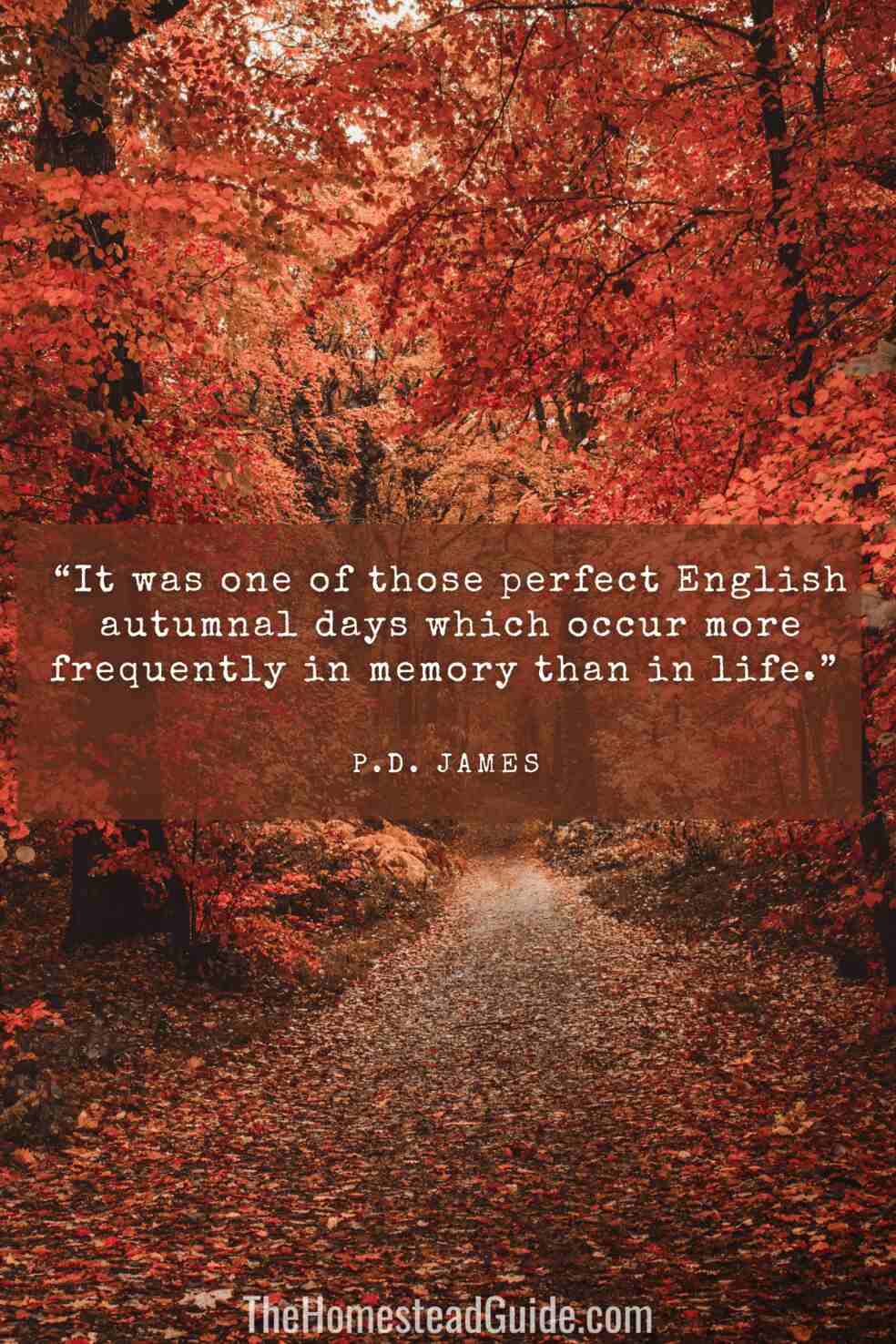 It was one of those perfect English autumnal days which occur more frequently in memory than in life.