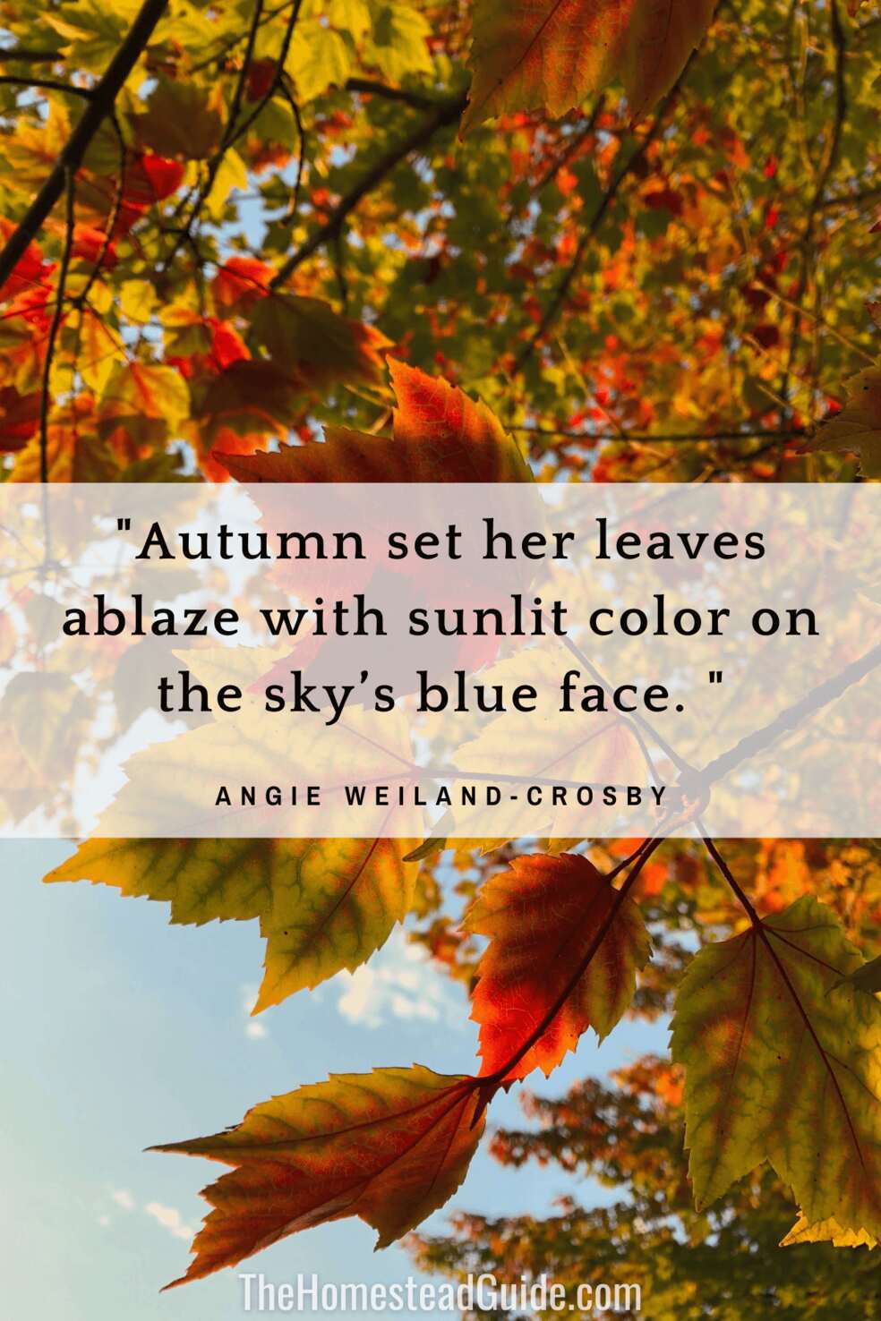 Autumn set her leaves ablaze with sunlit color on the skys blue face. 