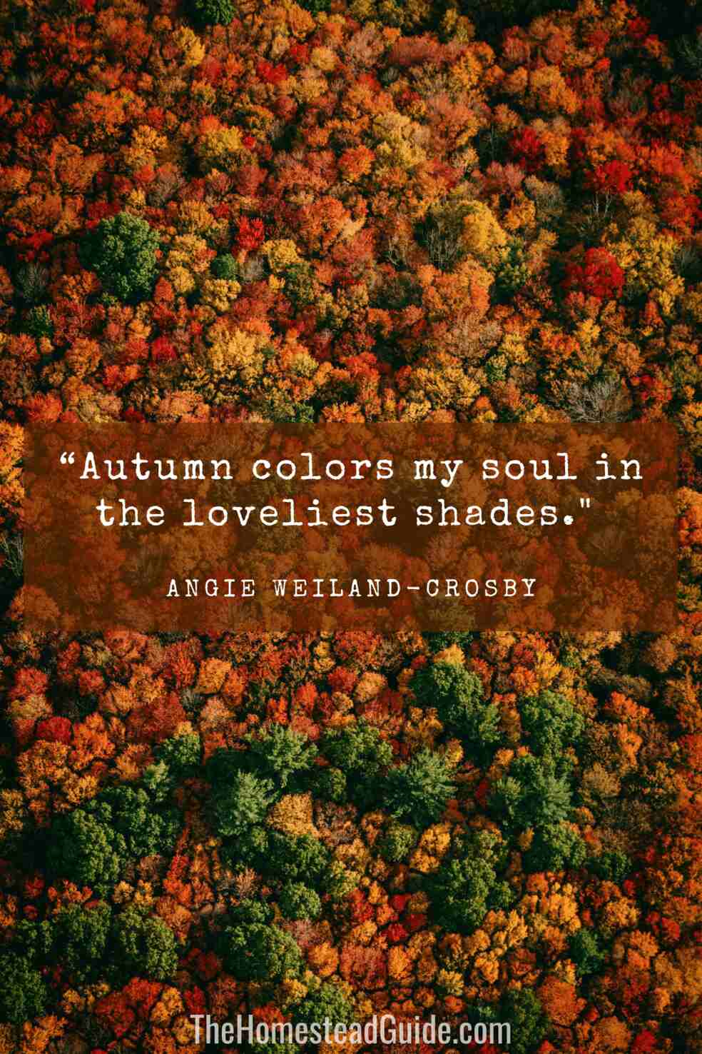 Autumn colors my soul in the loveliest shades.