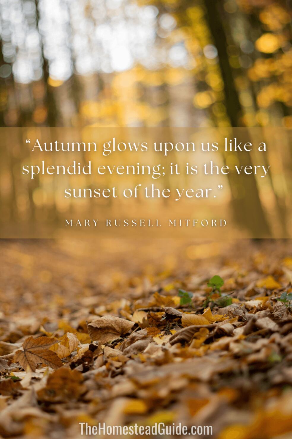 Autumn glows upon us like a splendid evening. It is the very sunset of the year.