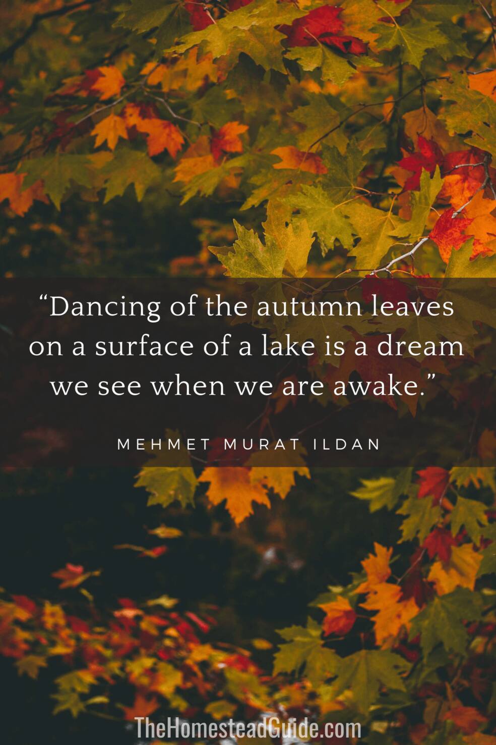 Dancing of the autumn leaves on a surface of a lake is a dream we see when we are awake.